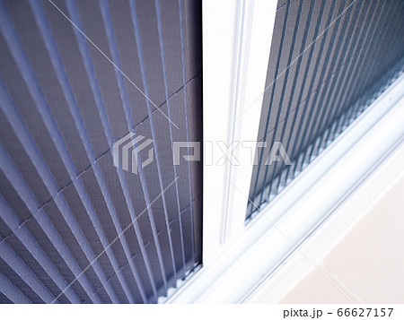 selective focus on white frame door with mosquito 66627157