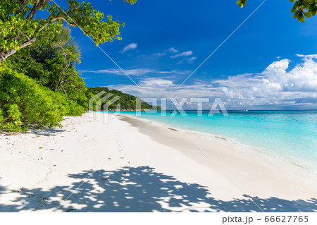 Beautiful crystal clear sea and white sand beach at Tachai island, Andaman, Thailand 66627765