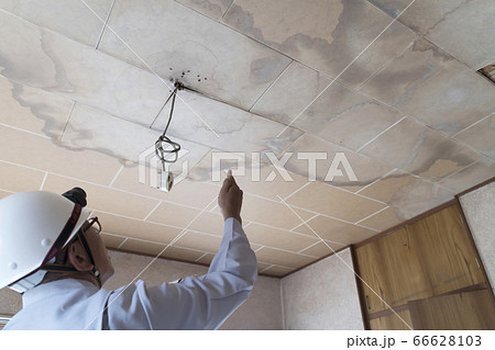 雨漏りした天井を調査するビジネスマン　住宅　リフォーム　解体前　 66628103