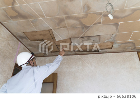 雨漏りした天井を調査するビジネスマン　住宅　リフォーム　解体前　 66628106