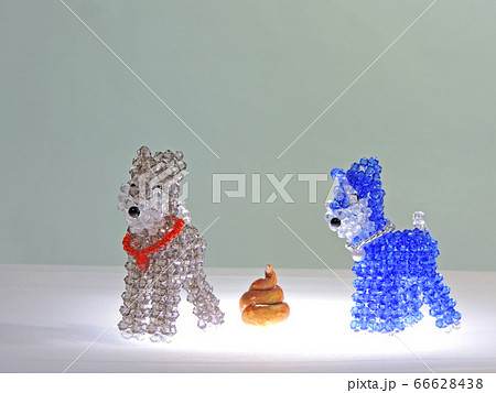 犬の糞マナー持ち帰りお願い 66628438