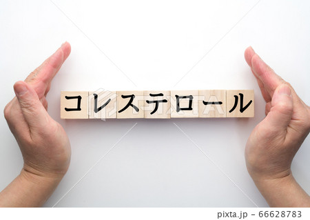 イメージ　コレステロール 66628783