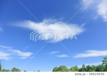 6月の梅雨に訪れた爽やかな青空【奈良天理市】 66629040