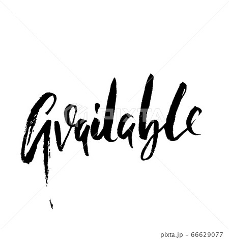 Available. Modern brush lettering. Vector illustration. Available. Modern brush lettering. Vector illustration. 66629077