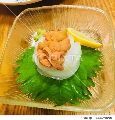 魚介　盛り合わせ 66629096