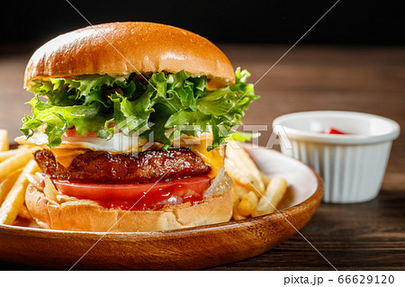 ハンバーガー 66629120