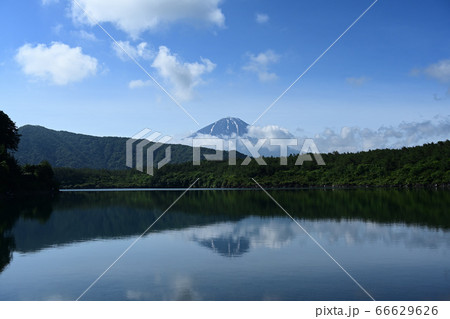 夏空と富士 西湖 夏空と富士 西湖 66629626