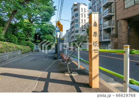 東京都港区白金台の桑原坂 東京都港区白金台の桑原坂 66629768