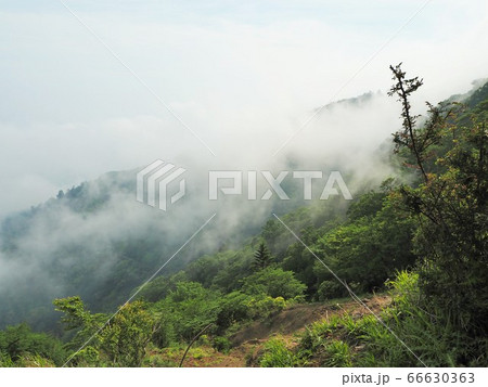 大山登山 66630363