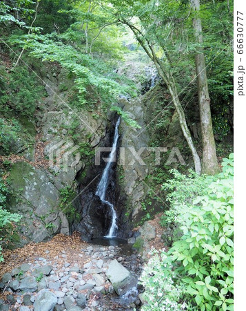 大山の二重滝 大山の二重滝 66630777