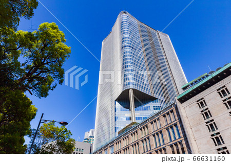 新緑の木立と日比谷のビル 都市風景 新緑の木立と日比谷のビル 都市風景 66631160