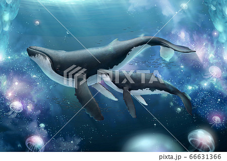 Whales swimming in surreal ocean 66631366