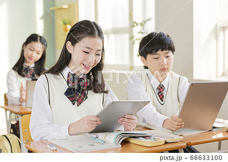 Group of school students portrait, happy smiling male and female students 307 Group of school students portrait, happy smiling male and female students 307 66633100