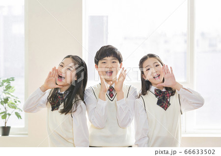 Group of school students portrait, happy smiling male and female students 181 Group of school students portrait, happy smiling male and female students 181 66633502