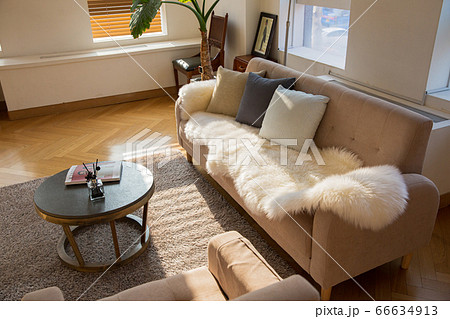 Modern interior concept of living room, room, various interior decorations 029 66634913