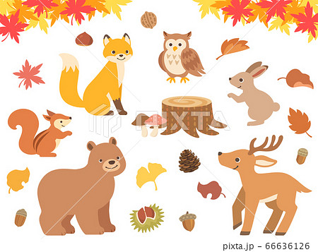 秋の森の動物達のイラストセットのイラスト素材