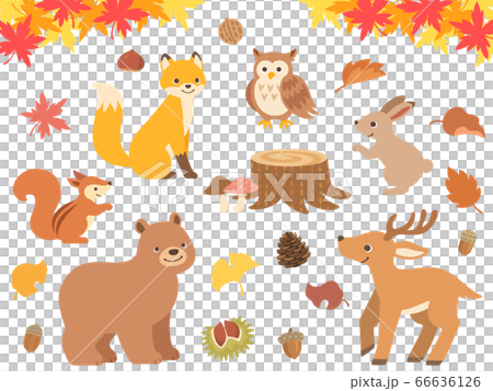 秋の森の動物達のイラストセット 秋の森の動物達のイラストセット 66636126