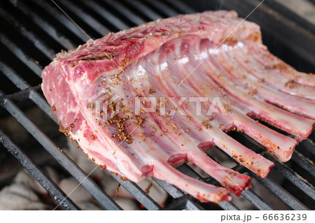 生肉のラム 66636239