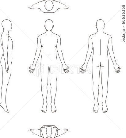 Tis is realistic sketch of the human body from the back. There are sketching  detail of the muscles. Stock Illustration | Adobe Stock