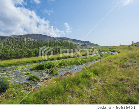 Idyllic landscape of Hveragerdi near Reykjadalur Idyllic landscape of Hveragerdi near Reykjadalur 66636451