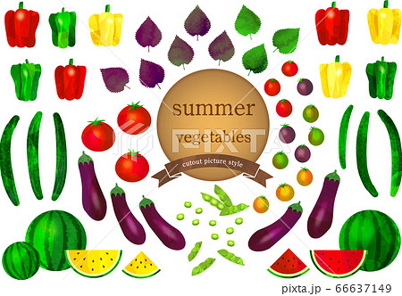 summer vegetables set-夏野菜セット 66637149