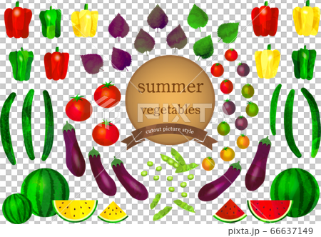 summer vegetables set-夏野菜セット 66637149