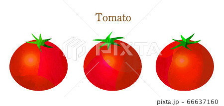夏野菜 トマトのイラストのイラスト素材