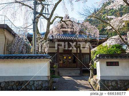 身延山久遠寺、安立院・樋之澤房／樋之沢坊（山梨県南巨摩郡身延町）2020年3月 66638077