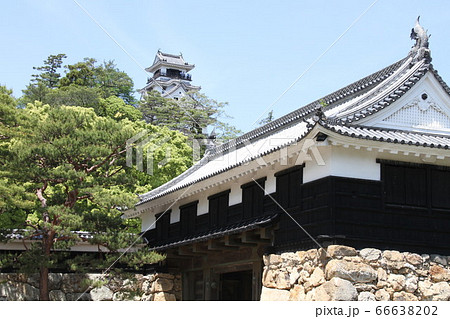 土佐の城　高知城　天守閣 66638202