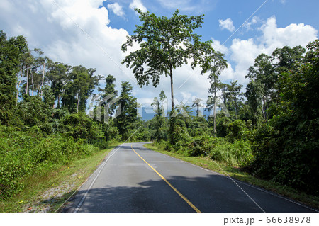 Khao Yai National Park, Thailand, National Park, Khao Yai National Park, Thailand, National Park, 66638978