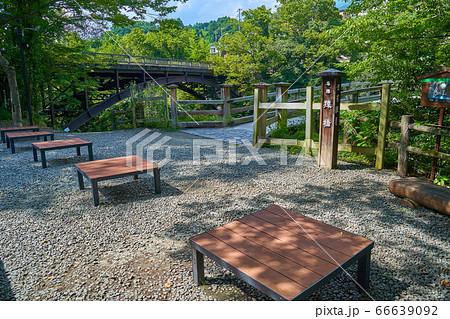 新緑の甲斐の猿橋(南側店舗前) 66639092