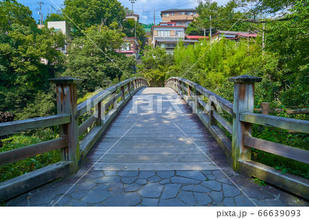 新緑の甲斐の猿橋(南側) 新緑の甲斐の猿橋(南側) 66639093