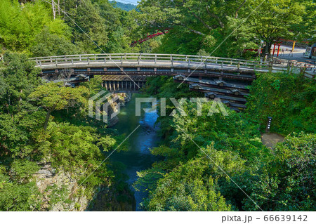 新緑の甲斐の猿橋 66639142