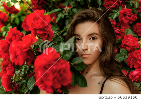 Portrait of a beautiful Girl in red roses. 66639160