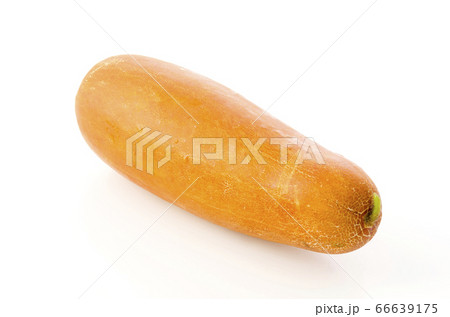 モーウイ（赤毛瓜） 66639175