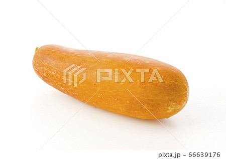 モーウイ（赤毛瓜） 66639176