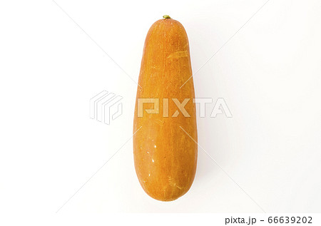 モーウイ（赤毛瓜） 66639202