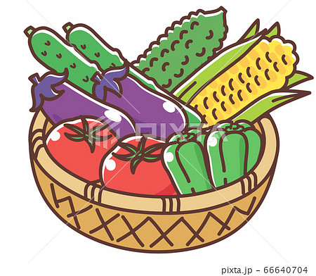 夏野菜のかご盛りのイラスト素材