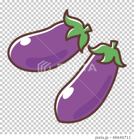 Eggplant (green leaf) 66640711