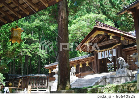 枚岡神社の中門・透き塀 枚岡神社の中門・透き塀 66640828