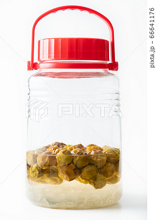 梅シロップを漬ける 梅シロップを漬ける 66641176