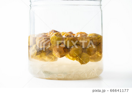 梅シロップを漬ける 梅シロップを漬ける 66641177