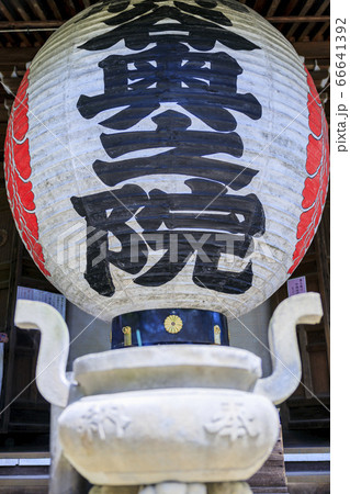 楊谷寺 柳谷観音 満開の紫陽花と花手水 楊谷寺 柳谷観音 満開の紫陽花と花手水 66641392