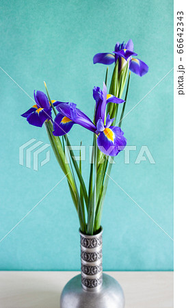 bouquet of iris flowers in pewter vase on table bouquet of iris flowers in pewter vase on table 66642343