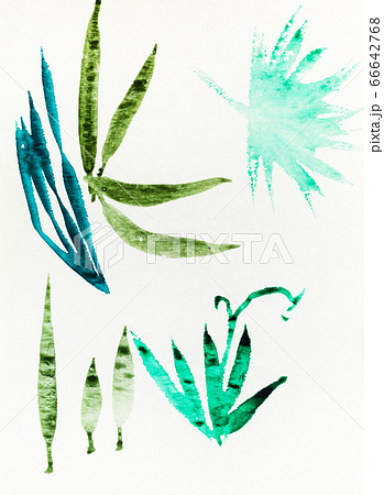 sketch of various leaves hand-drawn by color inks 66642768