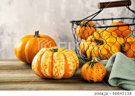 Autumn pumpkin thanksgiving background 66645138