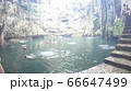 セノーテ 66647499