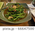 タイ料理 66647500
