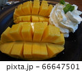 マンゴー 66647501