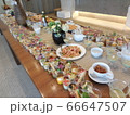 パーティー 66647507